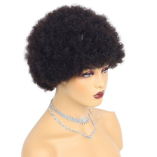 Perruques courtes cheveux humains afro crépus bouclés