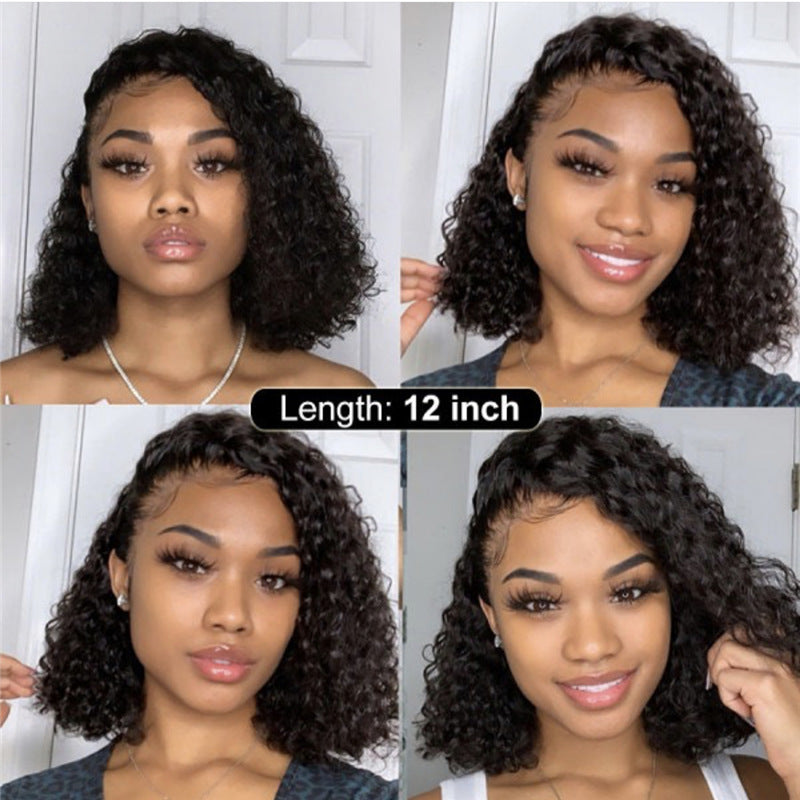 Synthetic Lace Front Wig Africa Small Curly Wig Women's Medium And Long Curly Hair Braided Wigs